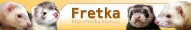 Fretčí registr pomůže najít partnera pro Vaší fretku