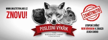 Pomozte kožešinovým zvířatům, ukažte to vládě ZNOVU! Podepište petici Svobody zvířat.