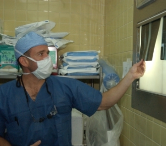 Veterinární prohlídka před plánovaným krytím není rozhodně na škodu. Ilustrační foto