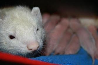 1. den, foto Petra Benediktová