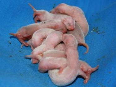 První den, foto Petra Benediktová