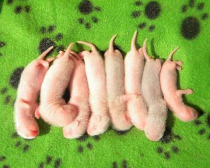 9 dní, foto Pavlína Mozgová