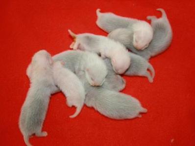 12 dní, foto Petra Benediktová