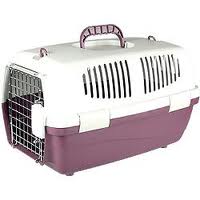 Na cestu vždy bezpečně v přepravce. Ilustrační foto archiv MM